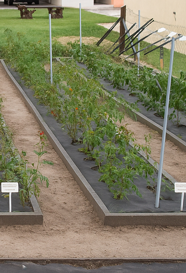 GeoFacil - Geotextil Antimaleza - Grupo Aldeana